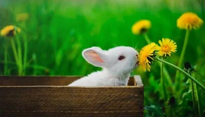 亚洲顶级球队角逐残酷，痛失晋级机会