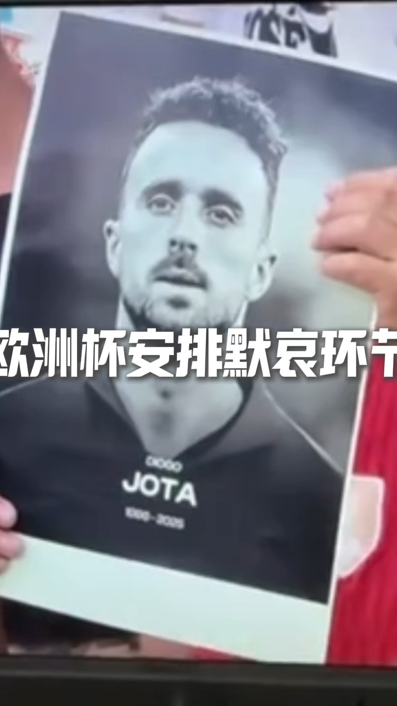欧洲杯预选赛背后故事揭示，球迷感慨良多